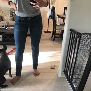 Hudson Muse Crop Skinny Jeans